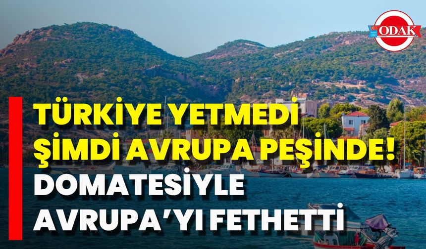 Türkiye Yetmedi, Şimdi Avrupa Peşinde! Domatesiyle Avrupa’yı Fethetti