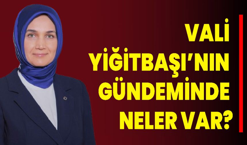Vali Yiğitbaşı’nın Gündeminde Neler Var?