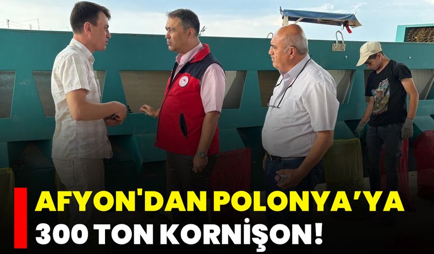 Afyon'dan Polonya’ya 300 Ton Kornişon!