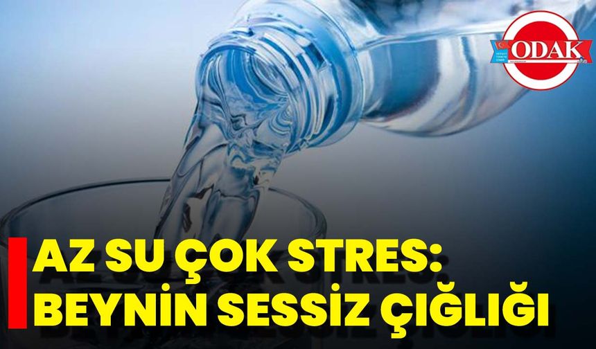 Az Su Çok Stres: Beynin Sessiz Çığlığı