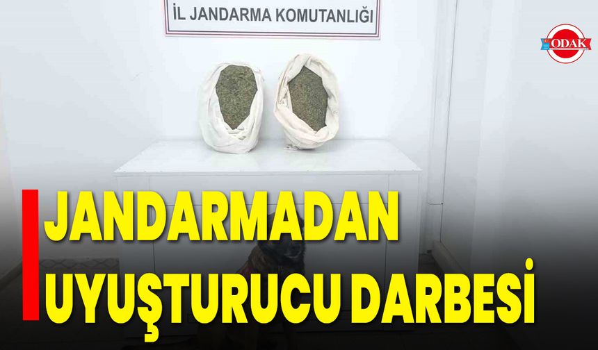 Jandarmadan Uyuşturucu Darbesi