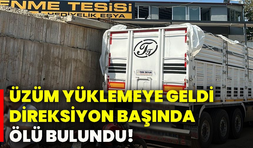 Üzüm yüklemeye geldi, direksiyon başında ölü bulundu!