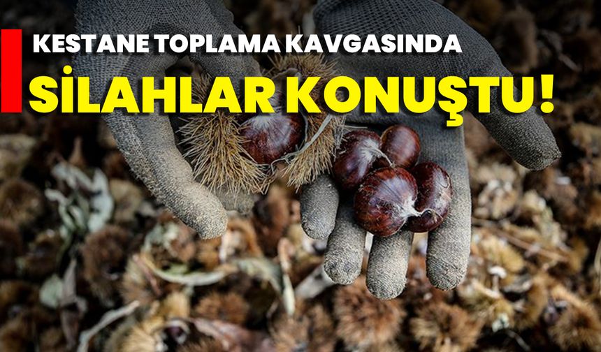 Kestane Toplama Kavgasında Silahlar Konuştu!