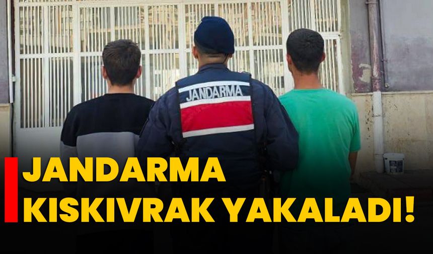 Jandarma kıskıvrak yakaladı!