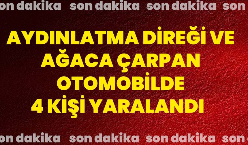 Aydınlatma direği ve ağaca çarpan otomobilde 4 kişi yaralandı