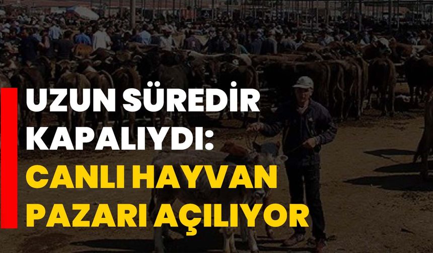 Uzun süredir kapalıydı: Canlı hayvan pazarı açılıyor!