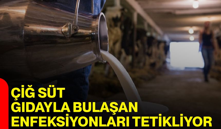 Çiğ Süt Gıdayla Bulaşan Enfeksiyonları Tetikliyor