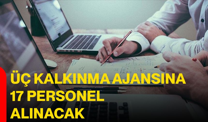 Üç kalkınma ajansına 17 personel alınacak