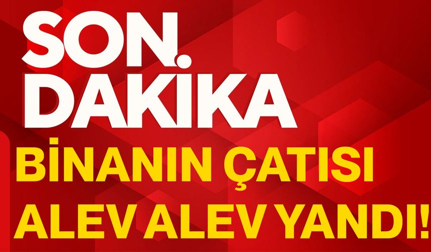 Binanın çatısı alev alev yandı!