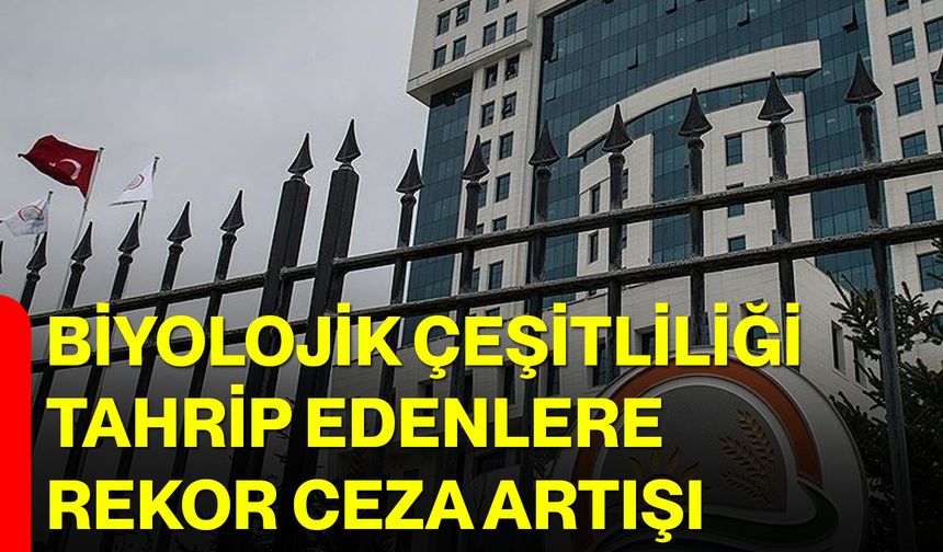 Biyolojik Çeşitliliği Tahrip Edenlere Rekor Ceza Artışı