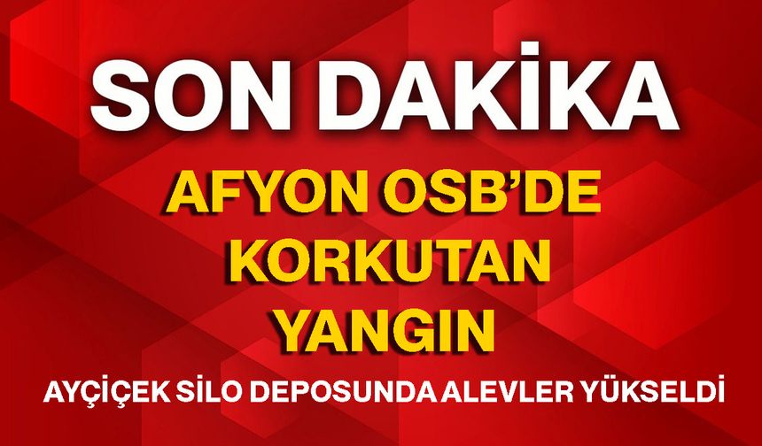 Afyon OSB’de korkutan yangın, Ayçiçek silo deposunda alevler yükseldi!