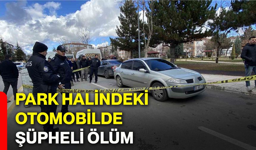 Park halindeki otomobilde şüpheli ölüm