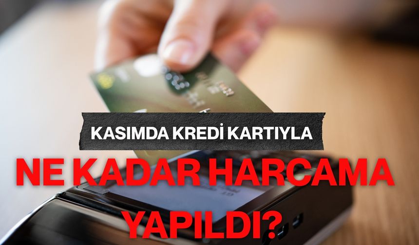 Kasımda kredi kartıyla ne kadar harcama yapıldı?