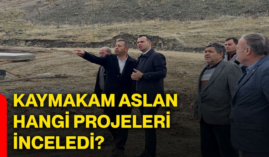 Kaymakam Aslan, hangi projeleri inceledi?