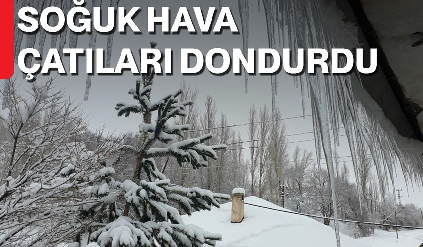 Soğuk Hava Çatıları Dondurdu