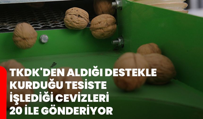 TKDK'den aldığı destekle kurduğu tesiste işlediği cevizleri 20 ile gönderiyor