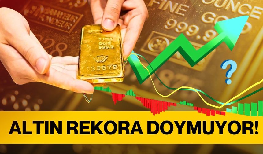 Altın Rekora Doymuyor!