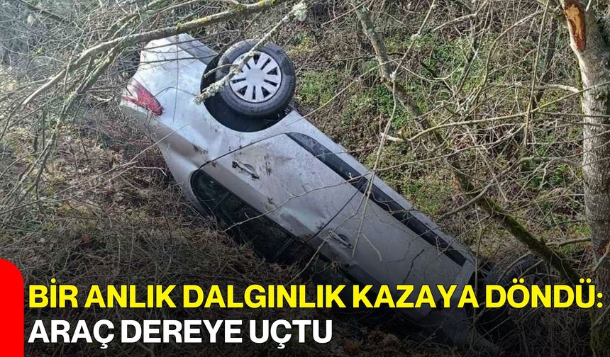 Bir Anlık Dalgınlık Kazaya Döndü: Araç Dereye Uçtu