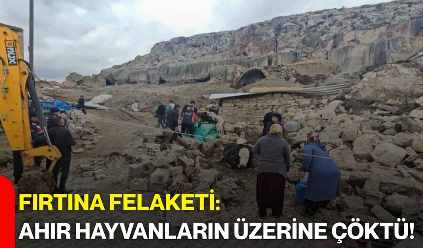 Fırtına Felaketi: Ahır Hayvanların Üzerine Çöktü!