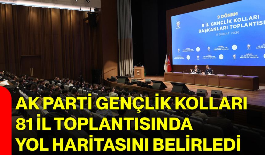 AK Parti Gençlik Kolları 81 İl Toplantısında Yol Haritasını Belirledi