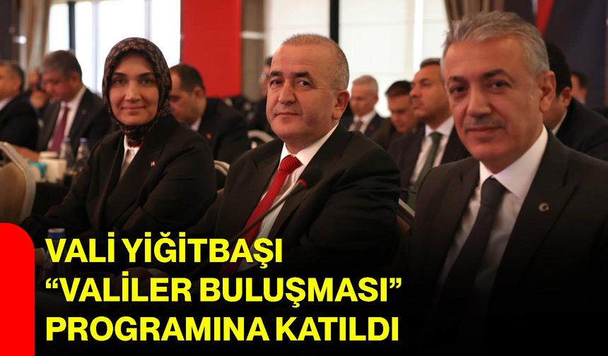 Vali Yiğitbaşı, “Valiler Buluşması” Programına Katıldı