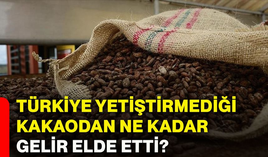 Türkiye, yetiştirmediği kakaodan ne kadar gelir elde etti?