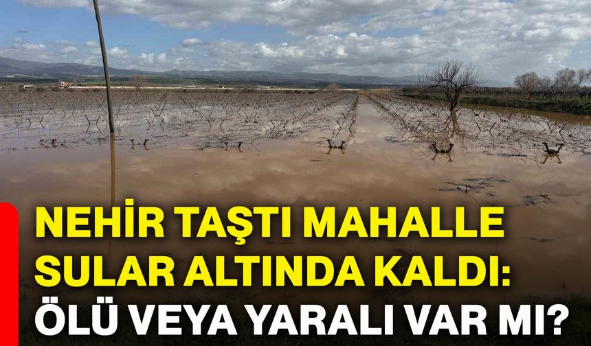 Nehir taştı mahalle sular altında kaldı: Ölü veya yaralı var mı?