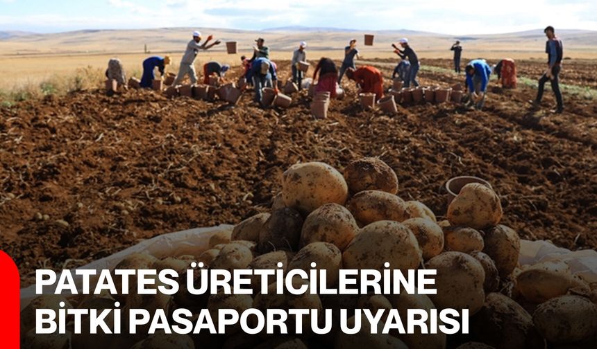 Patates Üreticilerine Bitki Pasaportu Uyarısı