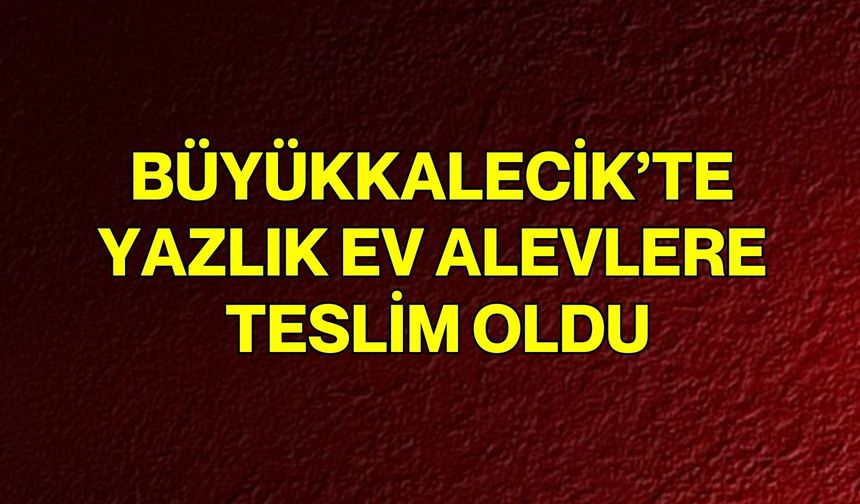 Büyükkalecik’te yazlık ev alevlere teslim oldu