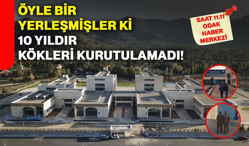 Öyle Bir Yerleşmişler Ki 10 Yıldır Kökleri Kurutulamadı!