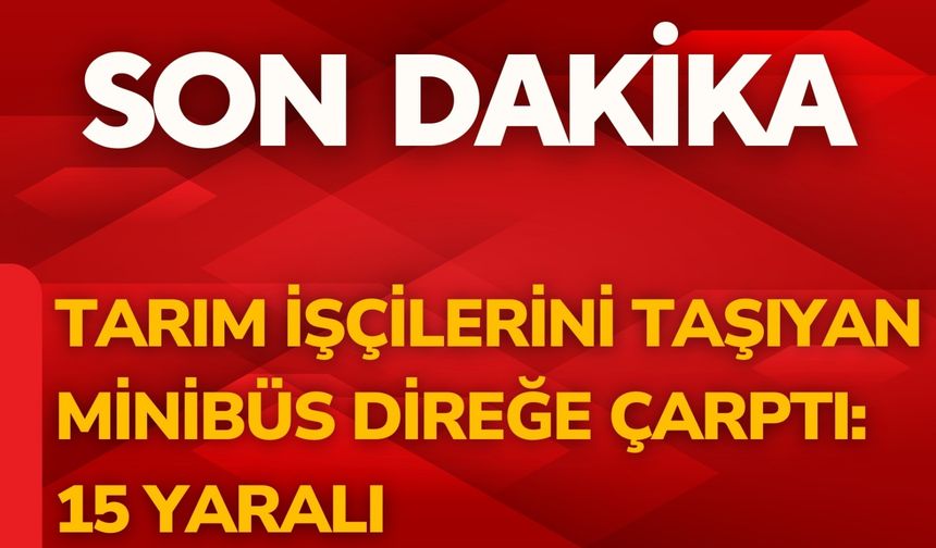 Tarım İşçilerini Taşıyan Minibüs Direğe Çarptı: 15 Yaralı