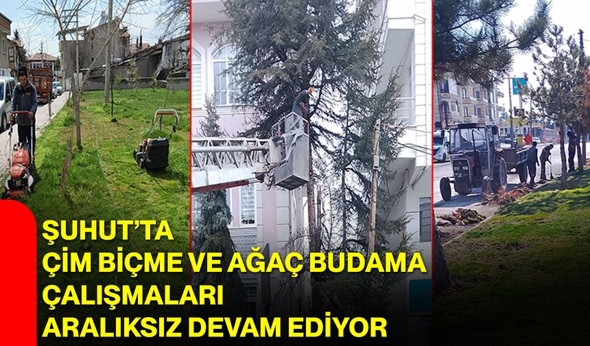 Şuhut’ta Çim Biçme ve Ağaç Budama Çalışmaları Aralıksız Devam Ediyor