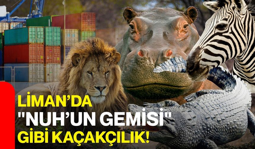 Liman’da "Nuh’un Gemisi" Gibi Kaçakçılık!