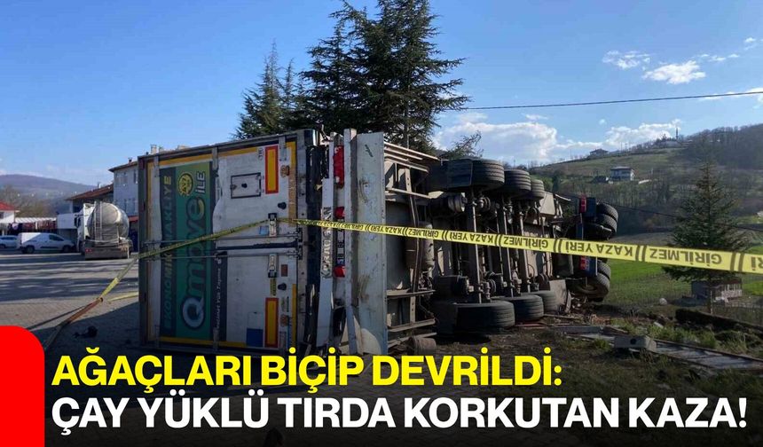 Ağaçları Biçip Devrildi: Çay Yüklü Tırda Korkutan Kaza!