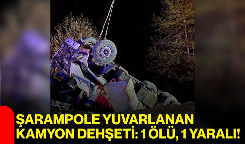 Şarampole Yuvarlanan Kamyon Dehşeti: 1 Ölü, 1 Yaralı!