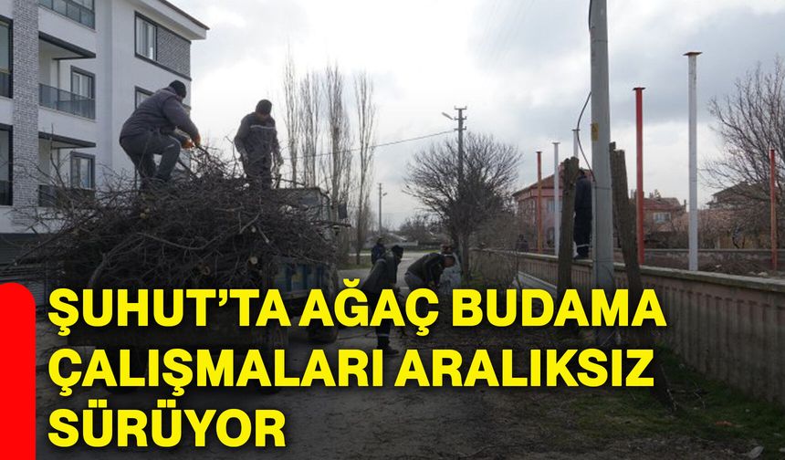 Şuhut’ta Ağaç Budama Çalışmaları Aralıksız Sürüyor