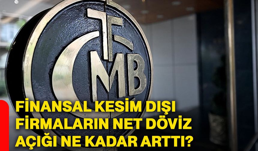 Finansal kesim dışı firmaların net döviz açığı ne kadar arttı?