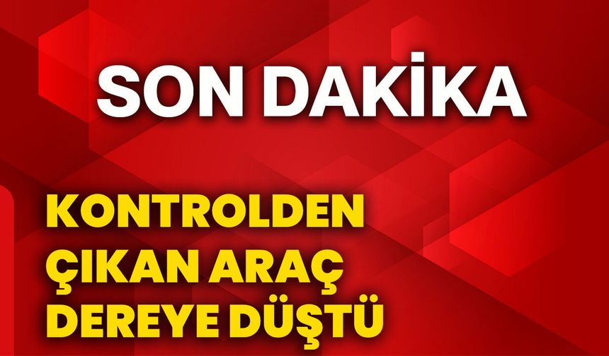 Kontrolden çıkan araç dereye düştü