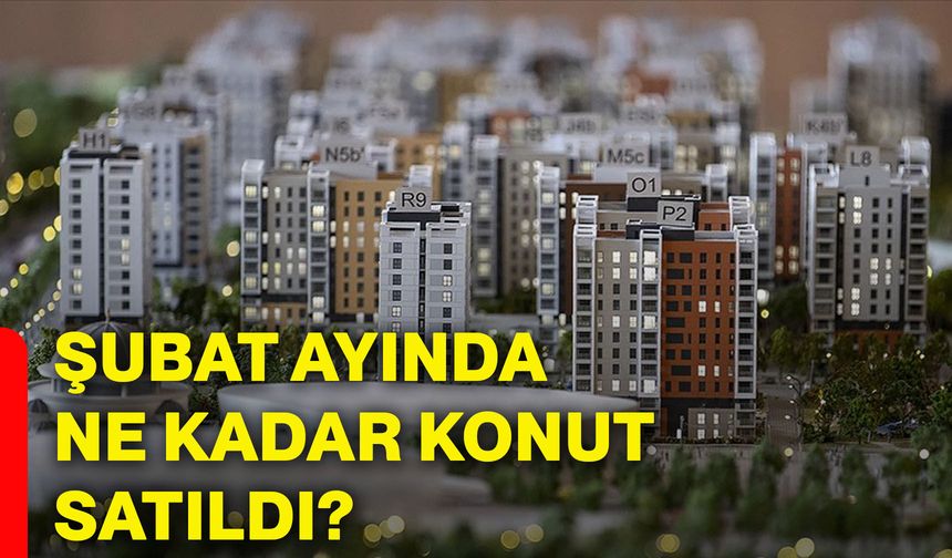 Şubat ayında ne kadar konut satıldı?