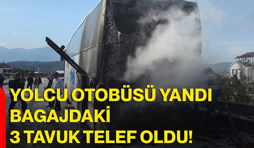 Yolcu Otobüsü Yandı, Bagajdaki 3 Tavuk Telef Oldu!