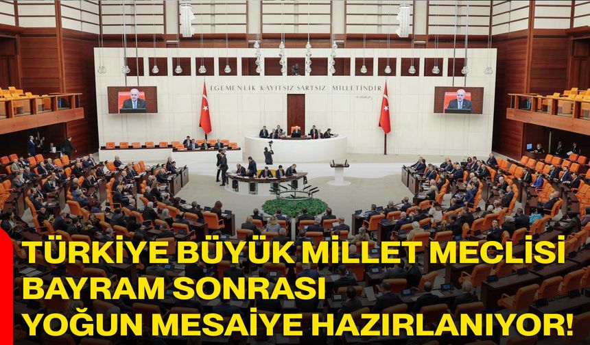 Türkiye Büyük Millet Meclisi Bayram Sonrası Yoğun Mesaiye Hazırlanıyor