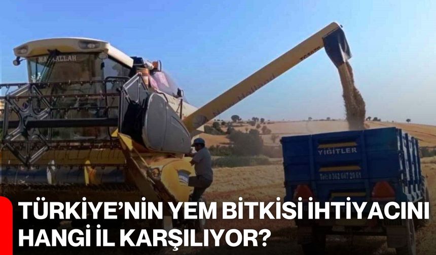 Türkiye’nin Yem Bitkisi İhtiyacını Hangi İl Karşılıyor?