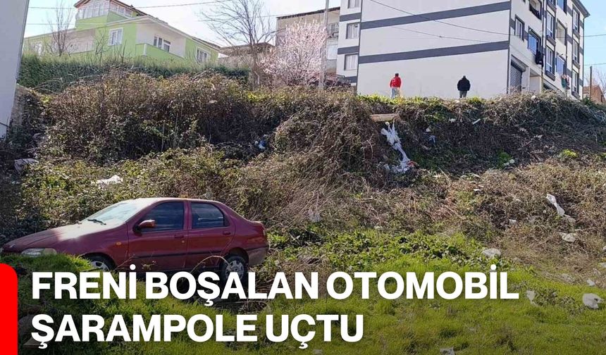 Freni boşalan otomobil şarampole uçtu