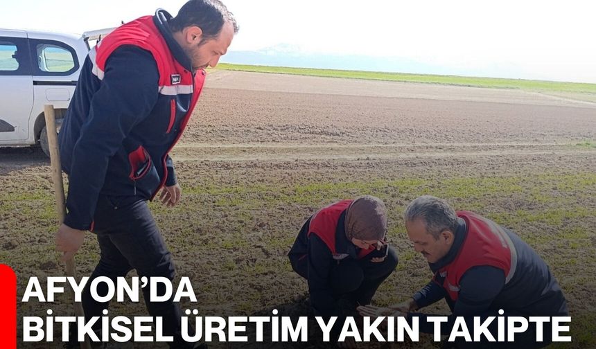 Afyon’da Bitkisel Üretim Yakın Takipte