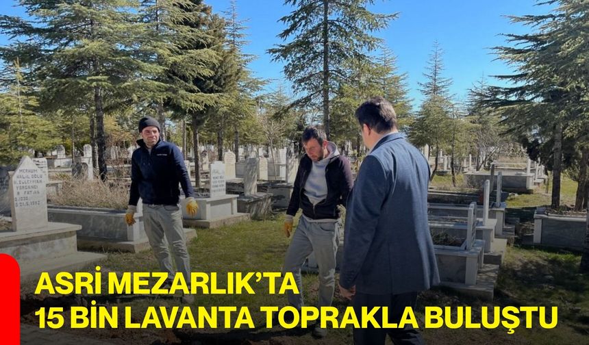 Asri Mezarlık’ta 15 Bin Lavanta Toprakla Buluştu