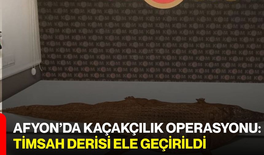 Afyon’da Kaçakçılık Operasyonu: Timsah Derisi Ele Geçirildi