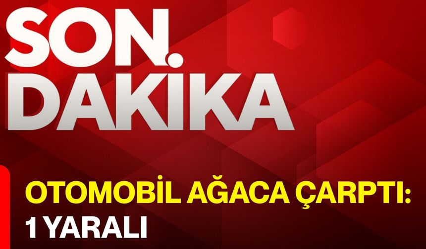 Otomobil ağaca çarptı: 1 yaralı