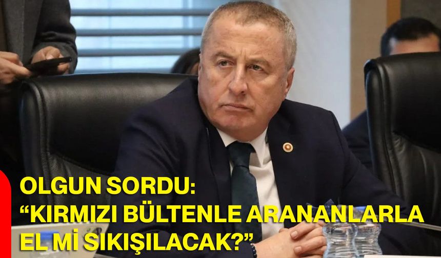 Milletvekili Olgun Sordu: “Kırmızı Bültenle Arananlarla El Mi Sıkışılacak?”