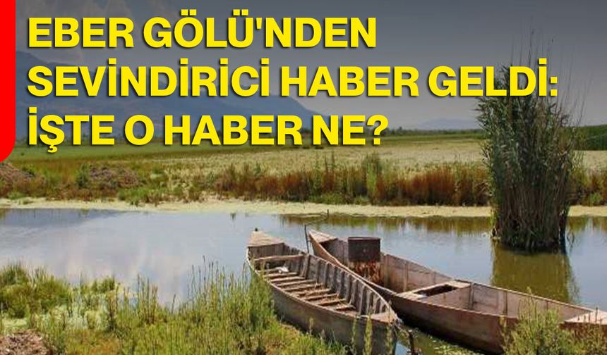 Eber Gölü'nden Sevindirici Haber Geldi: İşte O Haber Ne?