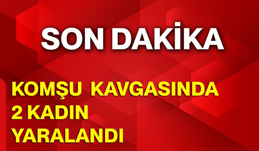 Komşu kavgasında 2 kadın yaralandı